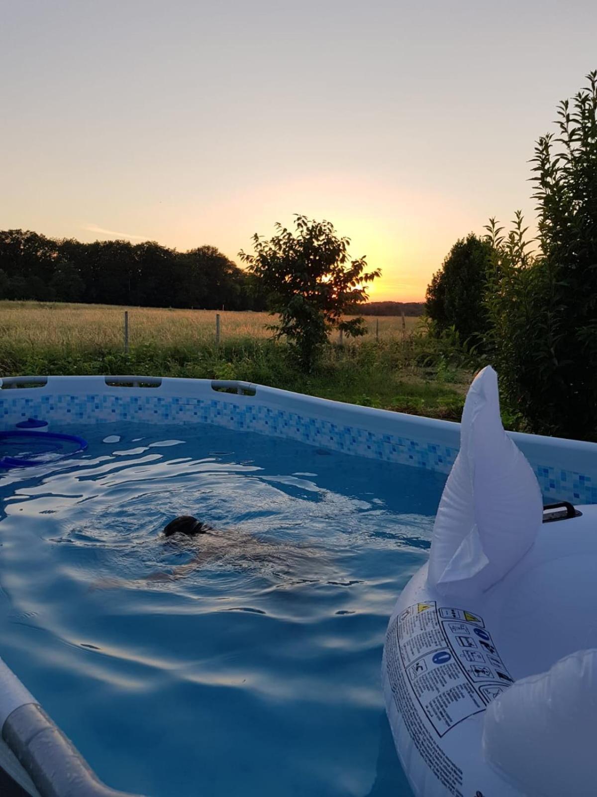 Gite 4 Pers, Jacuzzi, Piscine, Proche Futuroscope, Calme Et Nature A La Roche Posay La Roche-Posay Dış mekan fotoğraf