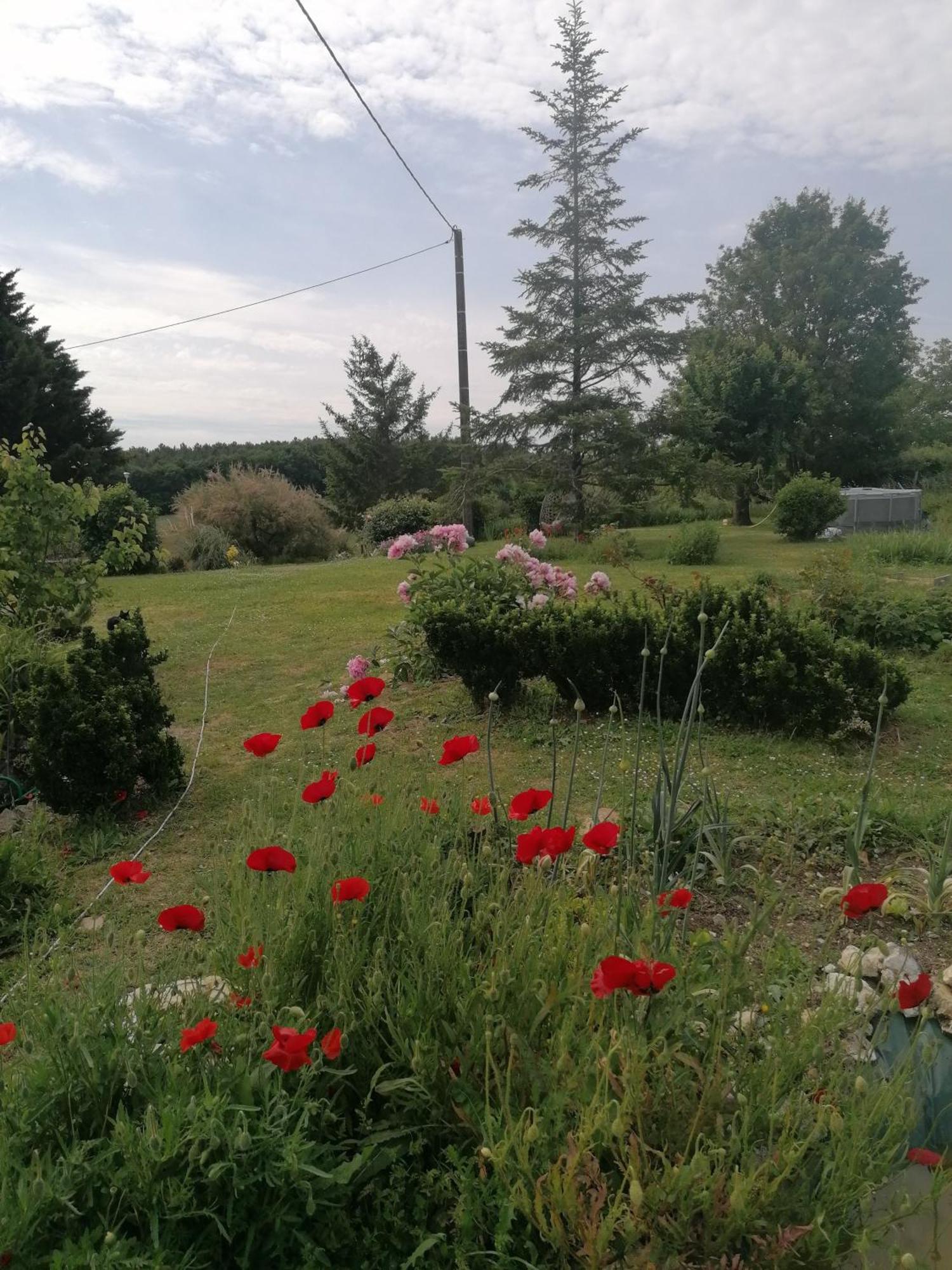 Charmante Maison, Calme Et Nature A La Roche Posay Villa Dış mekan fotoğraf