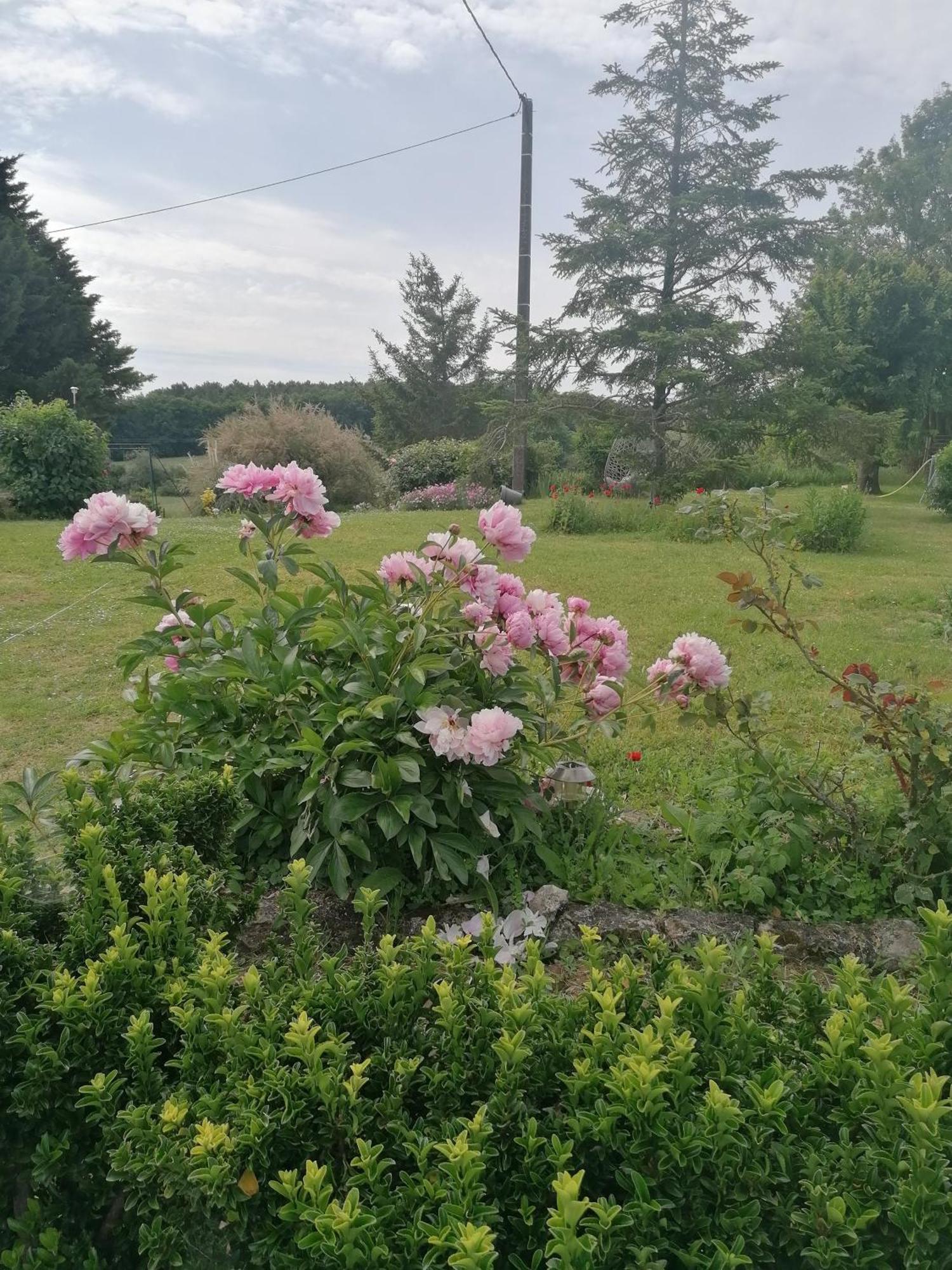 Charmante Maison, Calme Et Nature A La Roche Posay Villa Dış mekan fotoğraf