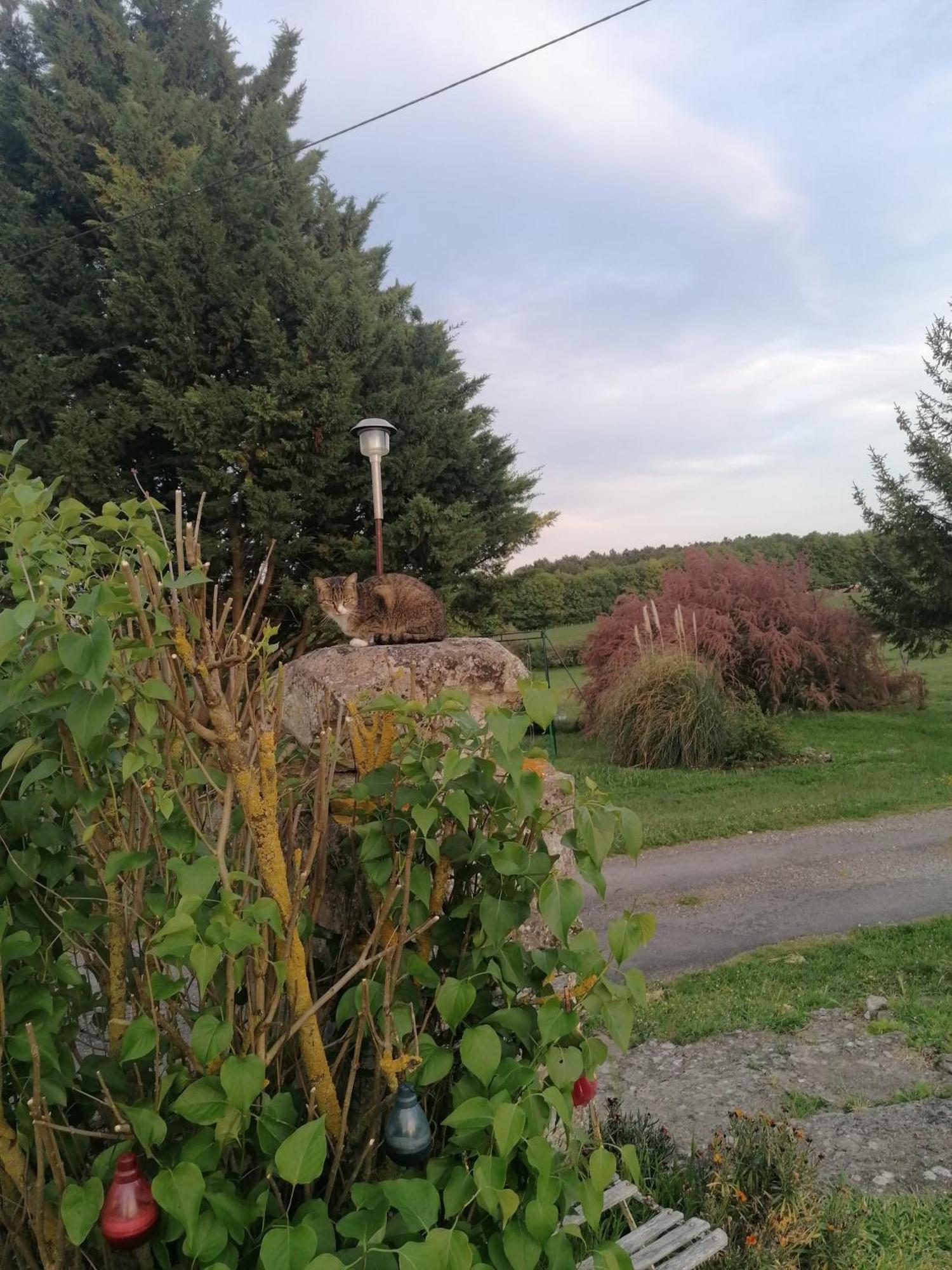 Charmante Maison, Calme Et Nature A La Roche Posay Villa Dış mekan fotoğraf