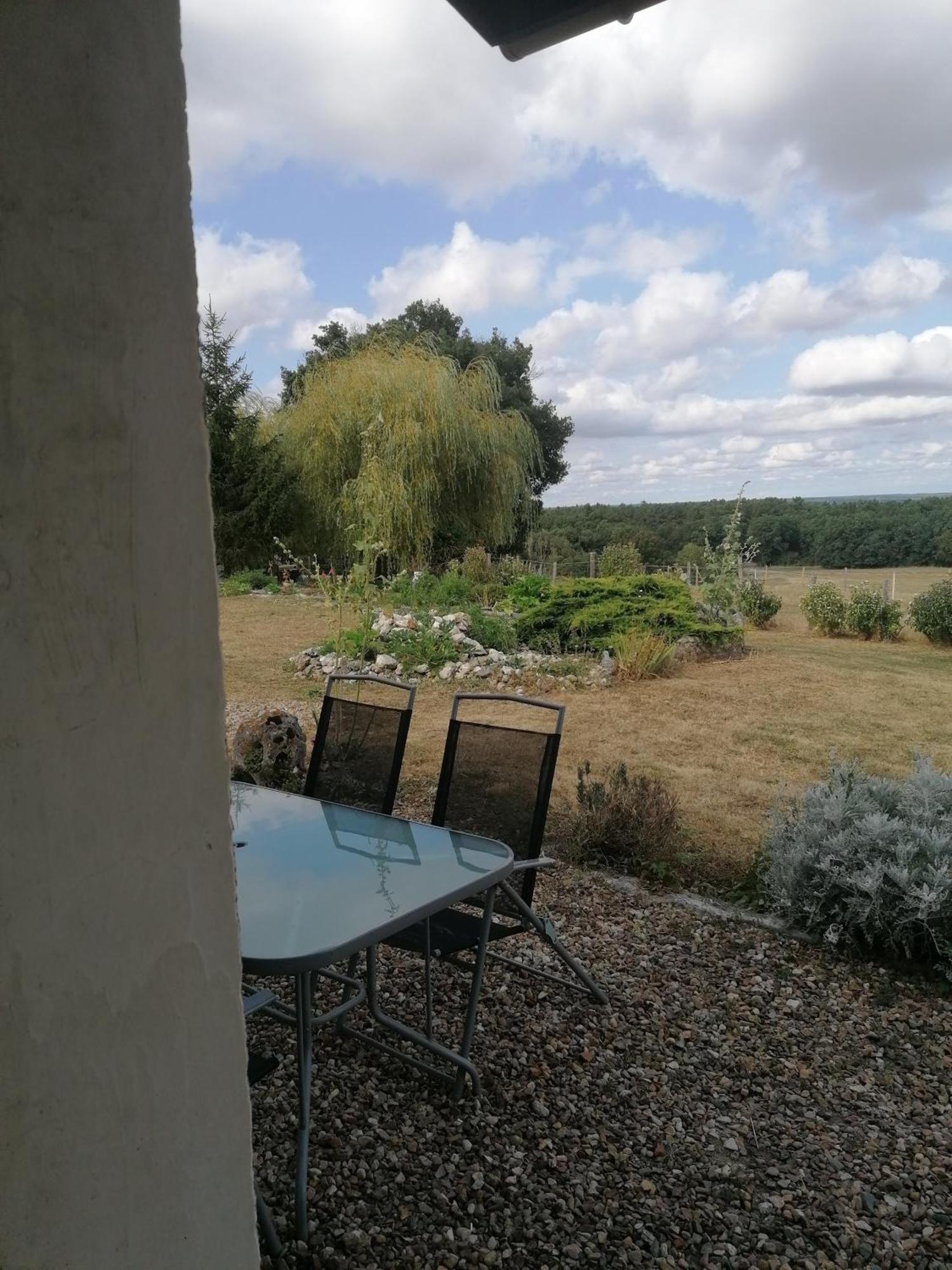 Gite 4 Pers, Jacuzzi, Piscine, Proche Futuroscope, Calme Et Nature A La Roche Posay La Roche-Posay Dış mekan fotoğraf