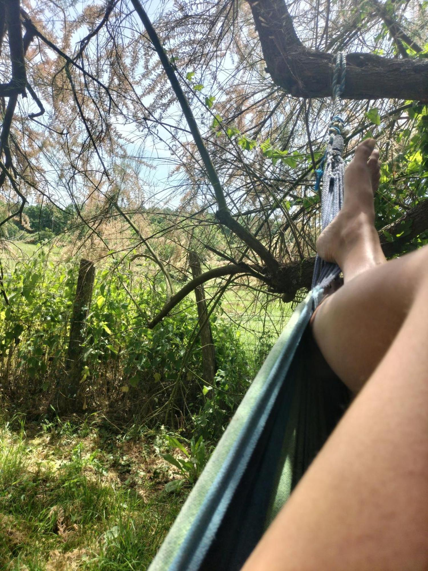 Gite 4 Pers, Jacuzzi, Piscine, Proche Futuroscope, Calme Et Nature A La Roche Posay La Roche-Posay Dış mekan fotoğraf
